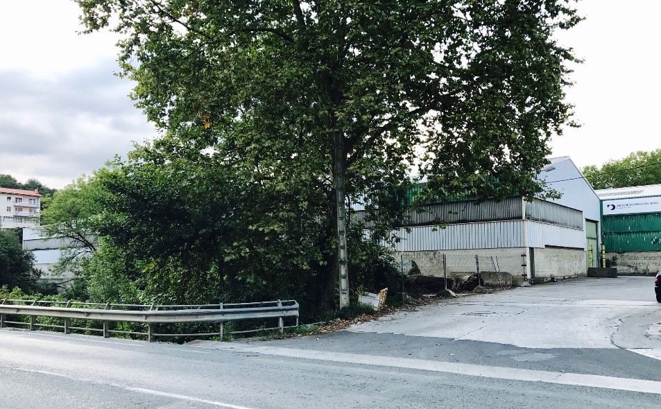 Lugar del asesinato de Pardines.